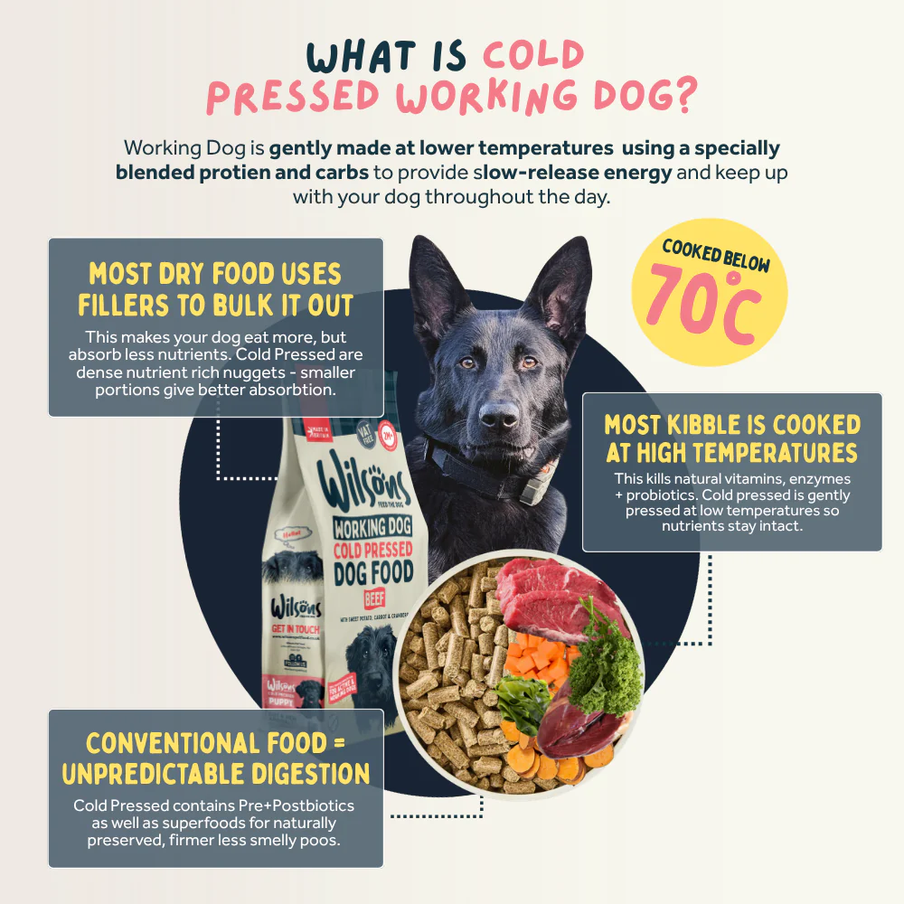 Beef Cold Pressed Working Dog Food - Image 3