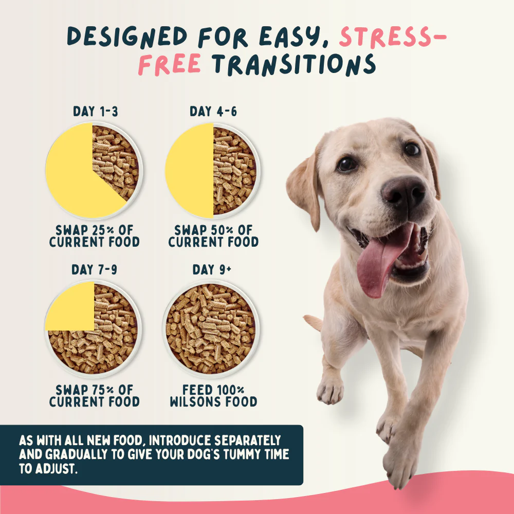 Beef Cold Pressed Working Dog Food - Image 9
