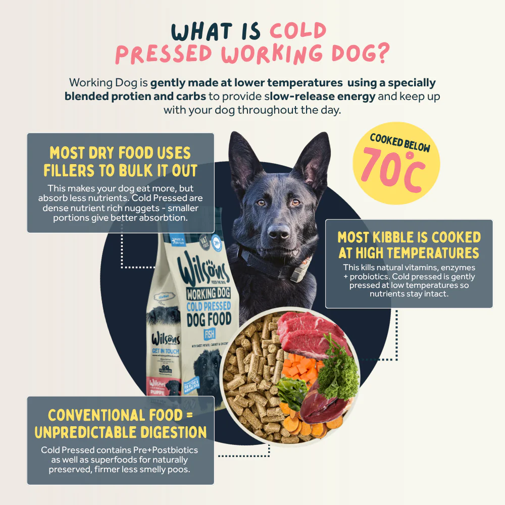 Fish Cold Pressed Working Dog Food - Image 3