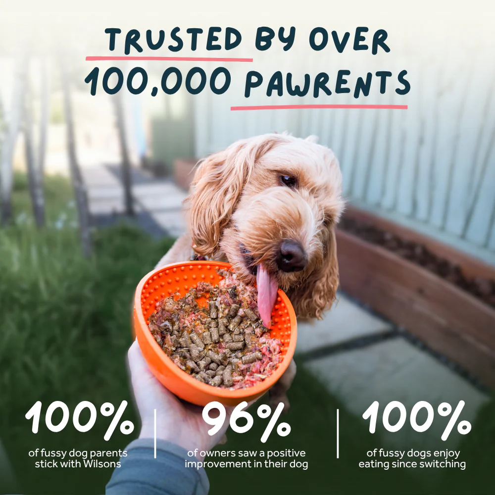 Fish Cold Pressed Working Dog Food - Image 10