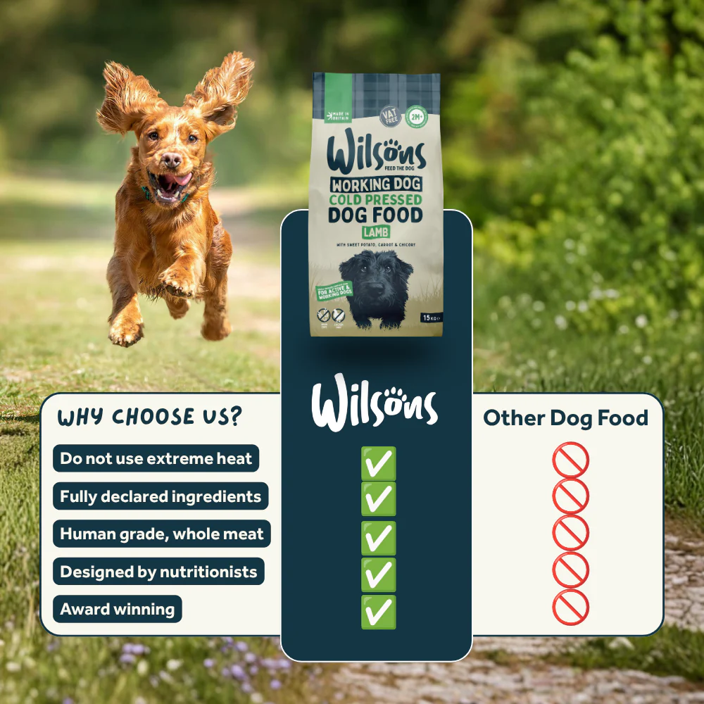 Lamb Cold Pressed Working Dog Food - Image 7