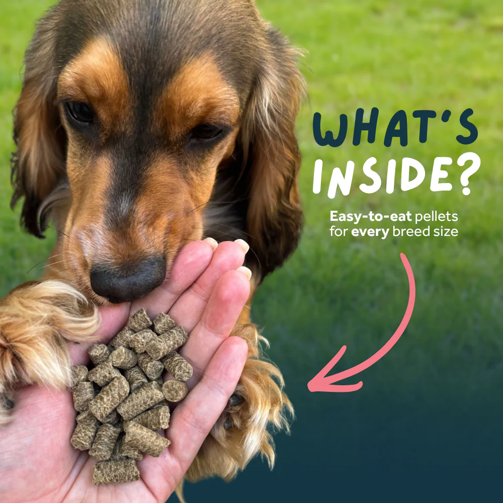 Fish Cold Pressed Working Dog Food - Image 8
