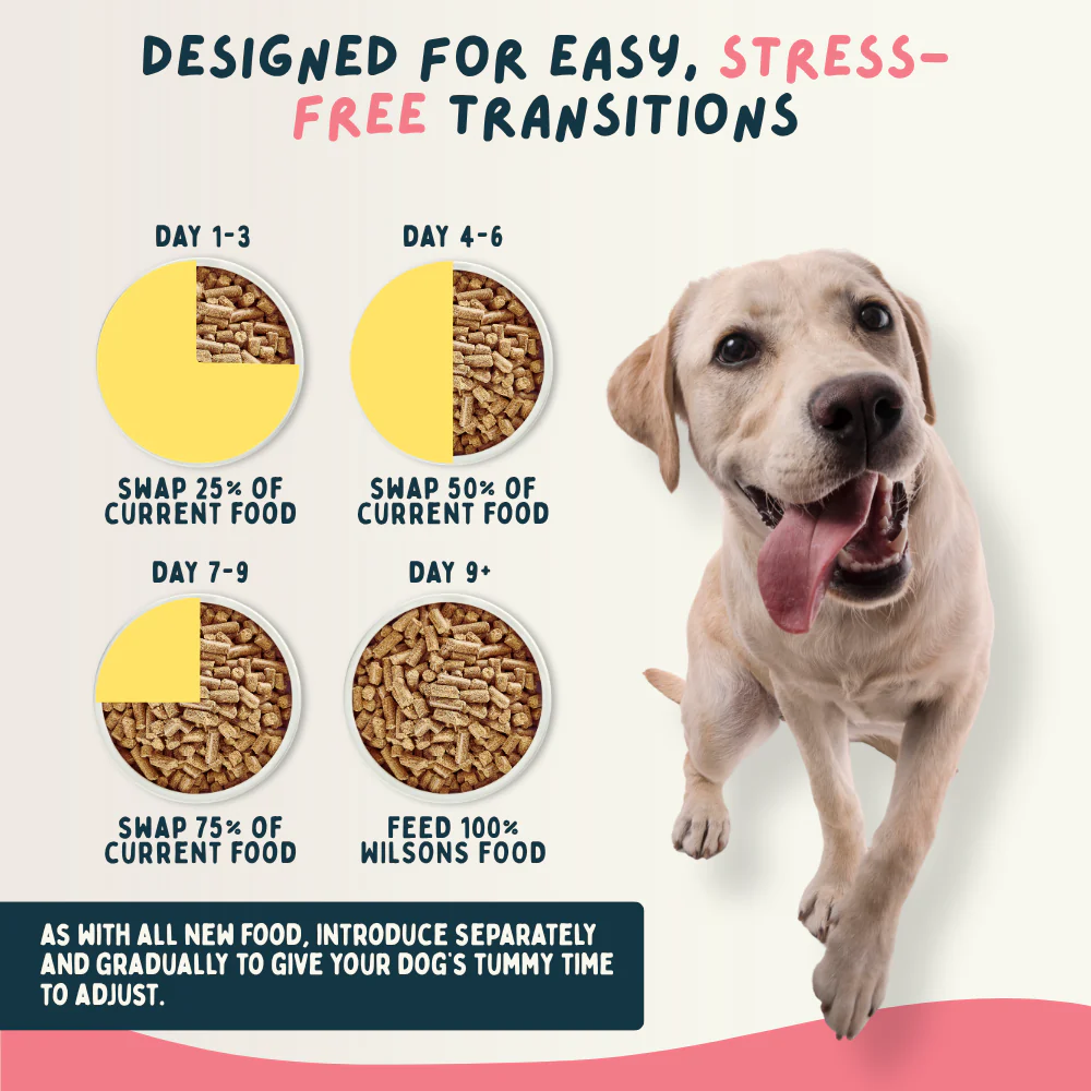 Fish Cold Pressed Working Dog Food - Image 9