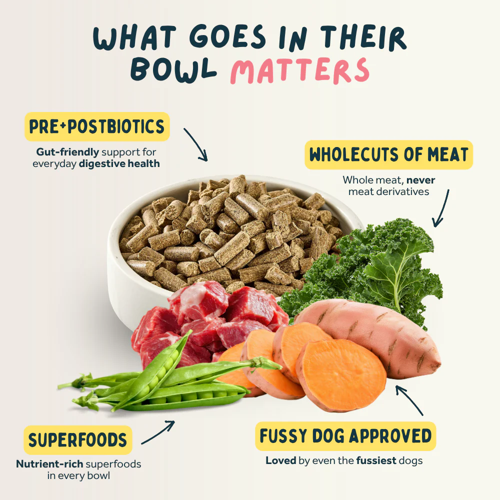 Lamb Premium British Cold Pressed Dog Food - Image 6