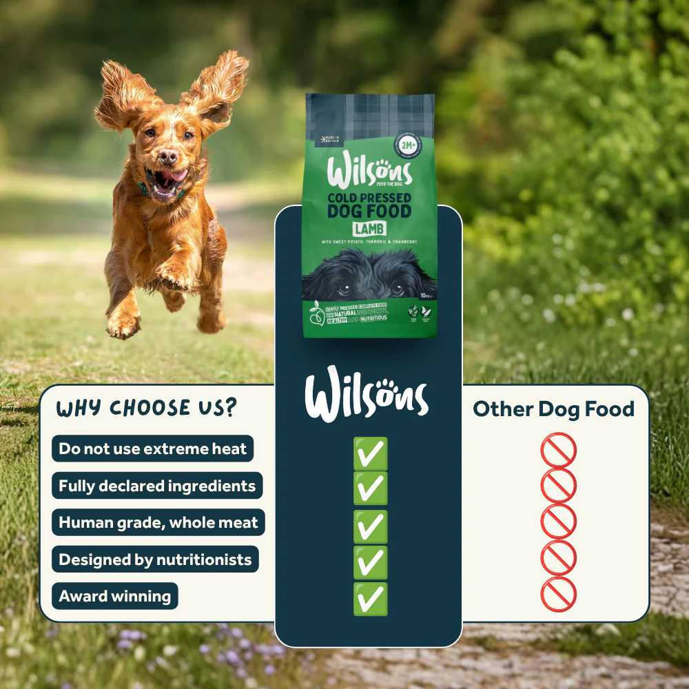 Lamb Premium British Cold Pressed Dog Food - Image 7