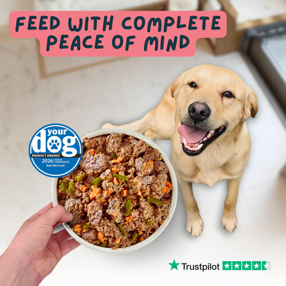 Fish and Beef Fresh Dog Food - Image 3