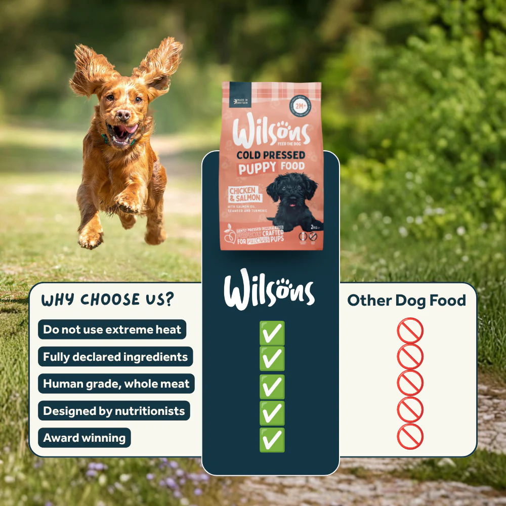 Puppy Premium British Cold Pressed Dog Food - Image 7