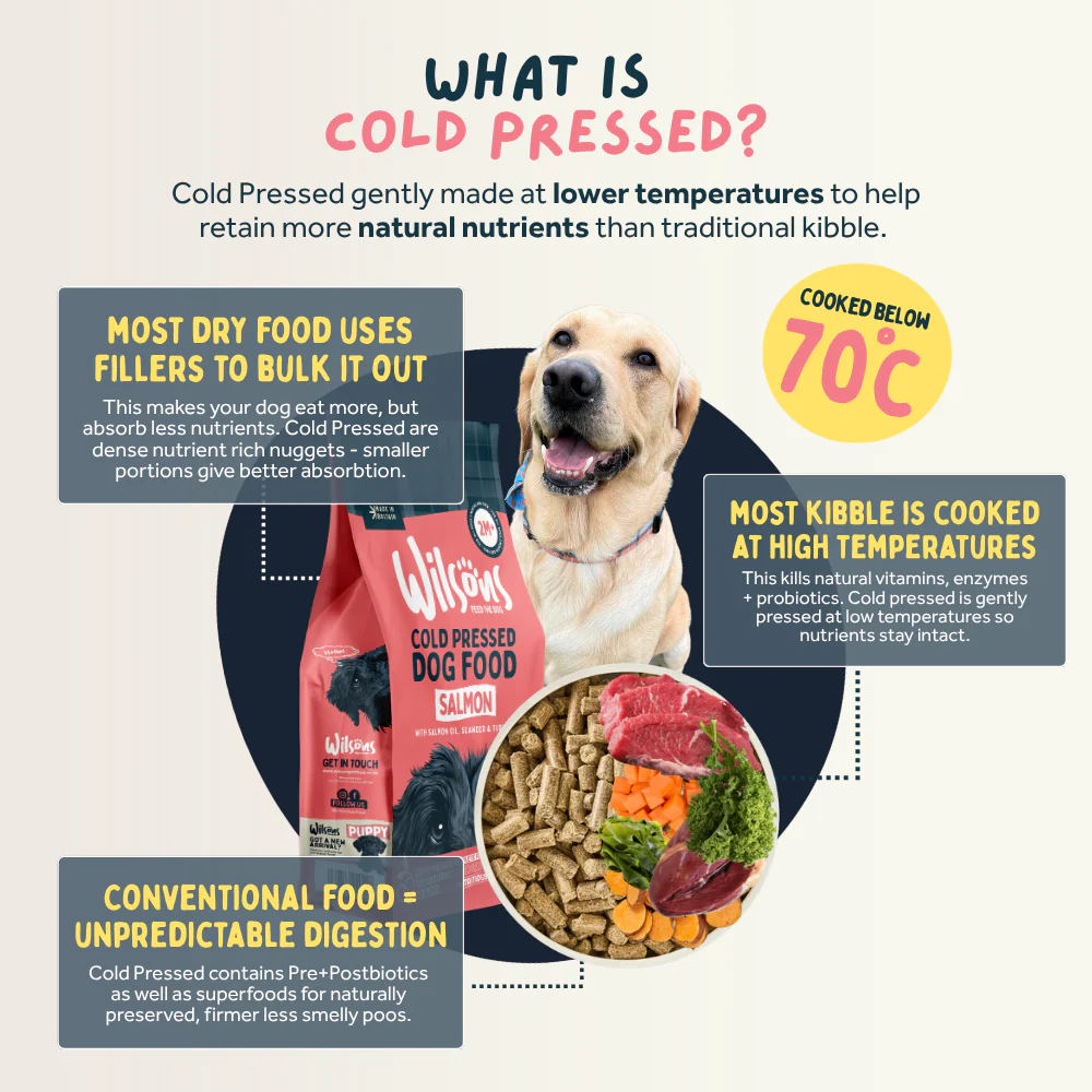 Salmon Premium British Cold Pressed Dog Food - Image 4