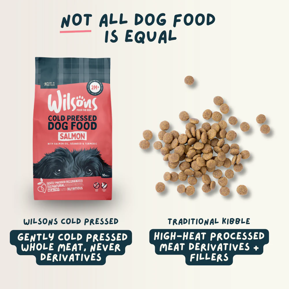 Salmon Premium British Cold Pressed Dog Food - Image 5
