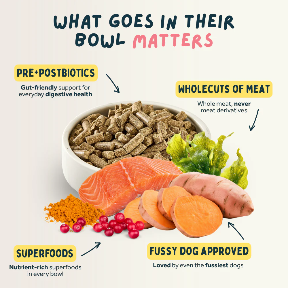 Salmon Premium British Cold Pressed Dog Food - Image 6