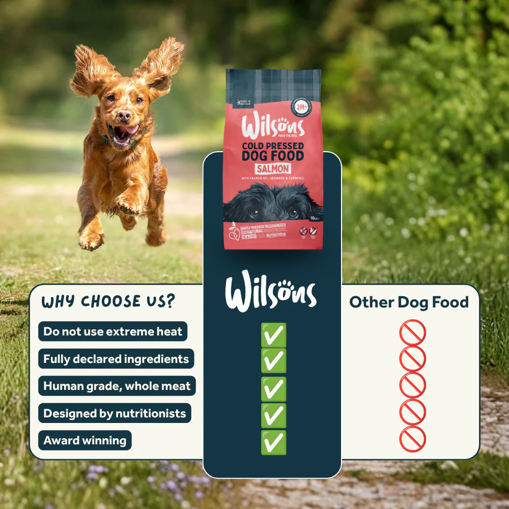 Salmon Premium British Cold Pressed Dog Food - Image 7