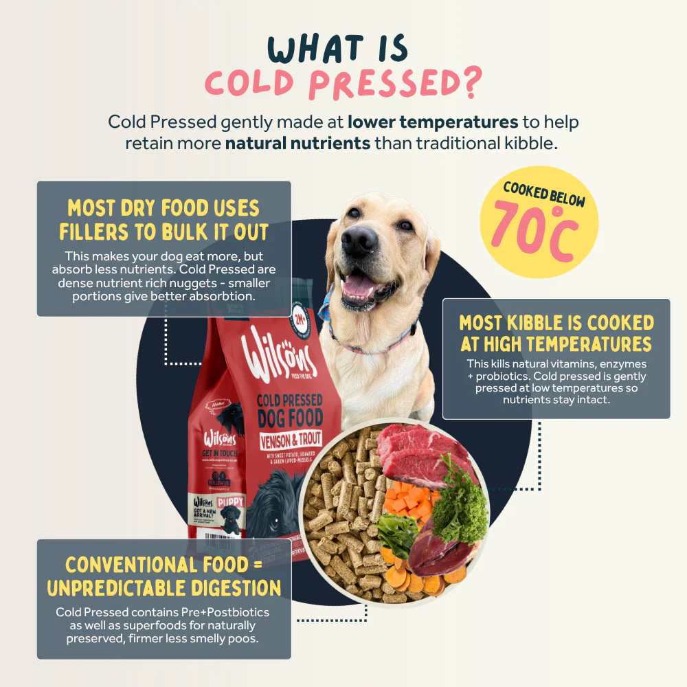 Venison & Trout Premium British Cold Pressed Dog Food - Image 3