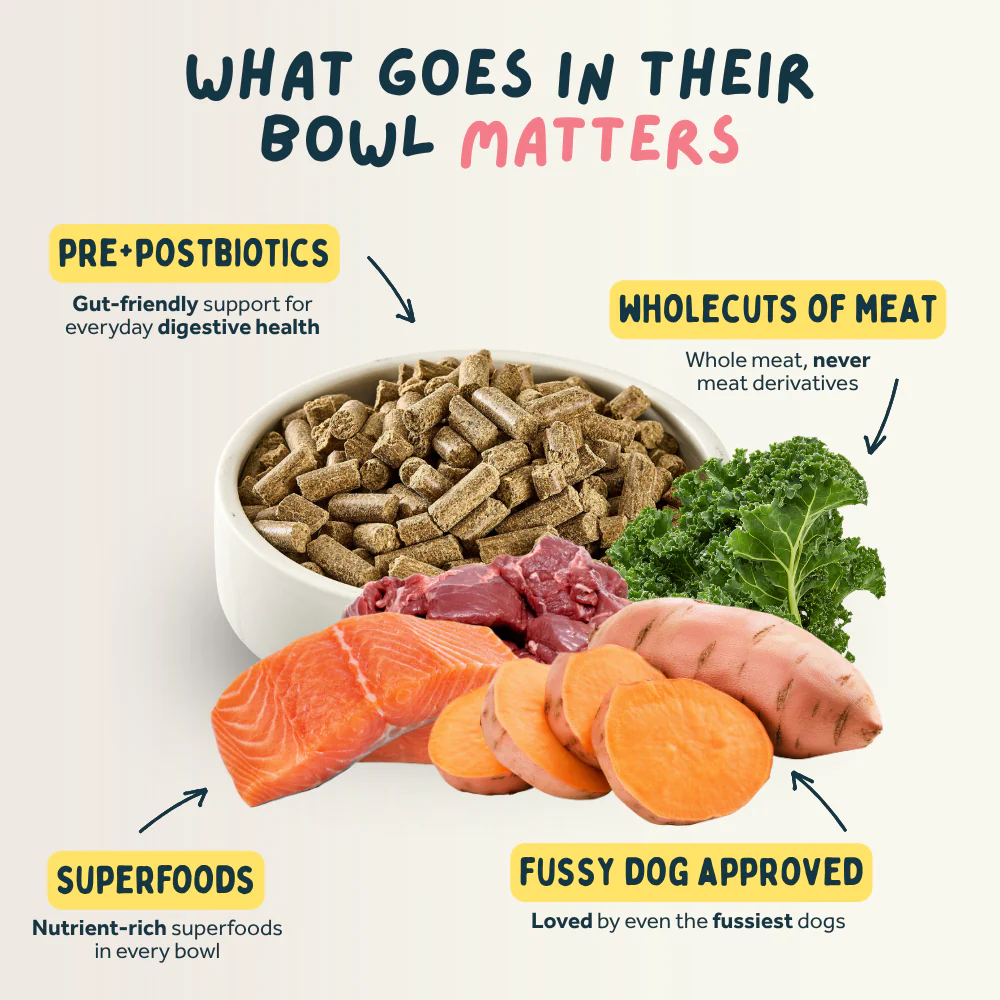 Venison & Trout Premium British Cold Pressed Dog Food - Image 6