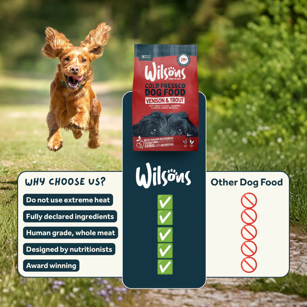 Venison & Trout Premium British Cold Pressed Dog Food - Image 7